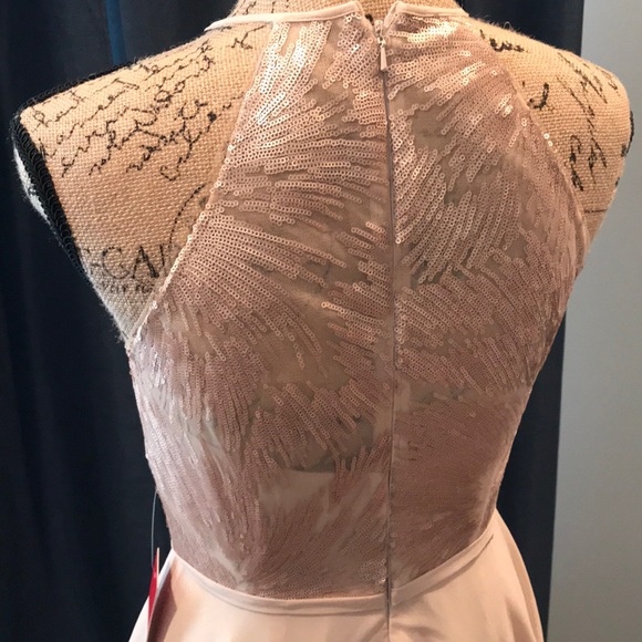 GORGEOUS Blush Formal Dress - Picture 4 of 6